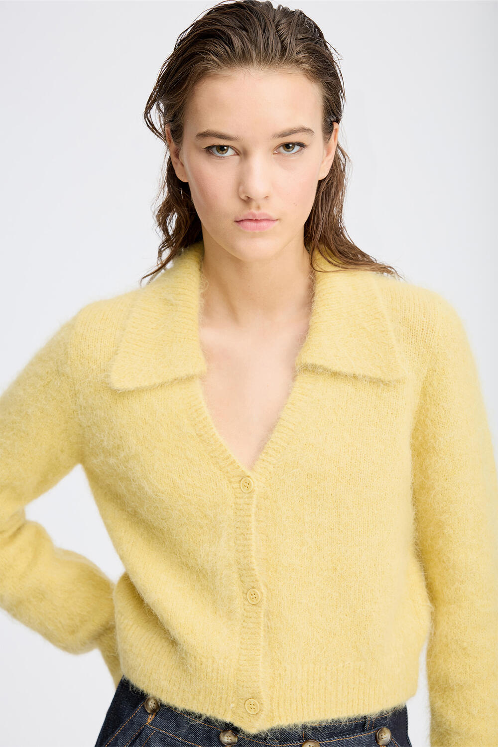 Roxas polo cardigan - Lemon